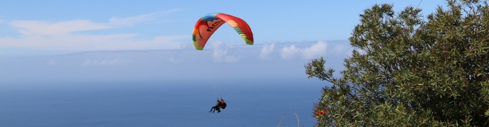 Paragliding in Madeira Island